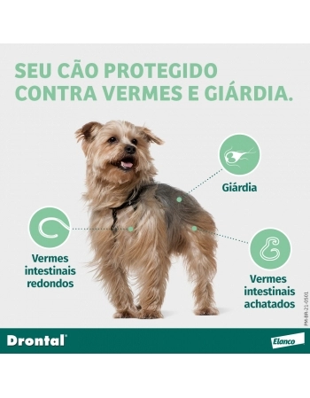 DRONTAL PLUS - CÃES 10KGS - CX. 2 COMP.
