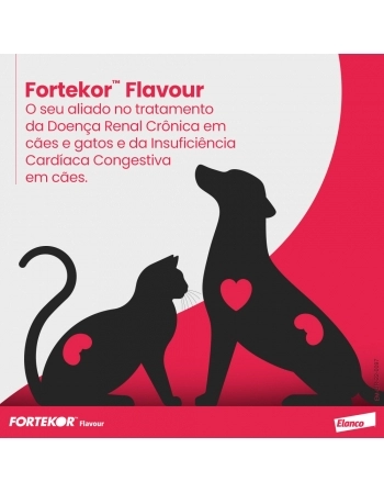 FORTEKOR FLAVOURS - FR. 28 COMP