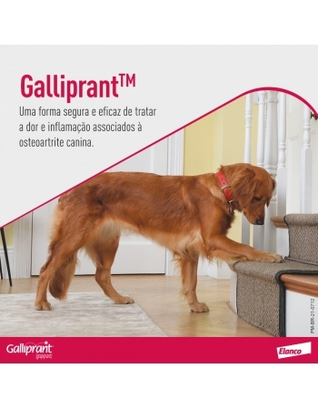 GALLIPRANT 100MG - CX 30 COMP.