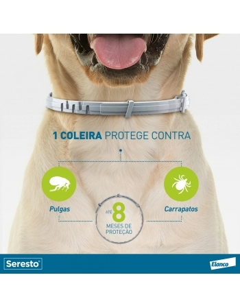 SERESTO COLEIRA (GRANDE) - 1 COLEIRA